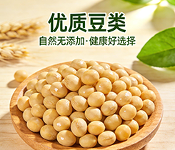 豆类